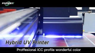 Inkjet Hybrid UV Printer Flatbed CMYK Vivid Colors For Large Format