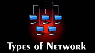 TYPES OF NETWORK (LAN : MAN : WAN)