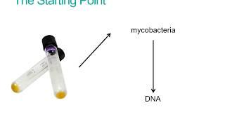 How does Whole Genome Sequencing identify mycobacteria?