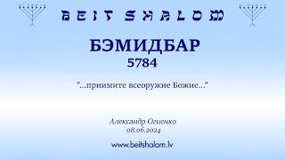 БЭМИДБАР 5784. "...приимите всеоружие Божие..." (Александр Огиенко 08.06.2024)