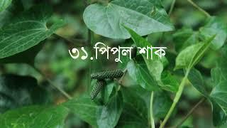 শাক পরিচিতি | শাক নাম|Leafy Greens Names