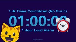 1 Hour Timer Countdown (No Music) + 1 Hour Loud Alarm