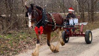 Christmas Caroling Catastrophe - Oliver’s New Jingle Bells!