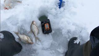 Ловим клыкастого судака.extreme fishing.