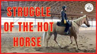 How to Stop a Hot Barrel Horse. Get Calm, Focused & Relaxed | We Can Hustle