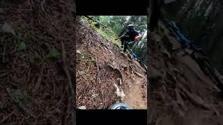 Moose Mountain MTB Clips #Shorts