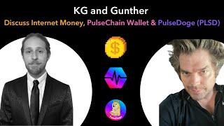 What are Internet Money & PulseDoge (PLSD) Crypto? Discussion with founders.