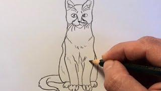 How to Draw a Cat Easy