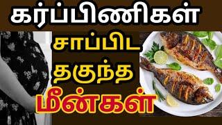 கர்ப்பிணிகள் சாப்பிட வேண்டிய மீன்கள்| Omega 3 acid fishes|safe fish to eat-pregnancy| ஒமேகா3 மீன்கள்