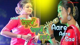 Aare Aare sau || Nelage De ~ Daisy Das Live Stage Performance Assamese song 2023