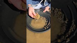 Guy Throws Away $40,000 Gold Nugget..