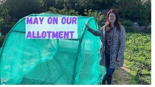 May Allotment Tour - Allotment Gardening For Beginners