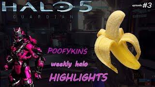 Cut your penis in half? Halo 5 Guardians - Week 3 Highlights -  Poofykins