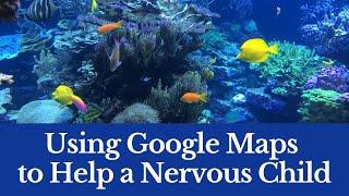 Using Google Maps and Google Arts & Culture to Help a Nervous Child