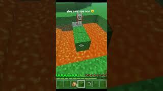 I Saved Dog in Minecraft  | Minecraft TikTok Hacks #shorts