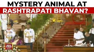 Leopard At Rashtrapati Bhavan? Video Of Mystery Animal During Oath Goes Viral