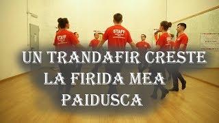 CUM SA DANSEZI UN TRANDAFIR CRESTE LA FIRIDA MEA ( PAIDUSCA) ! ! !