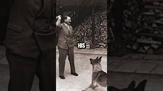 Blondie the Dog the Tragic Story of Hitler's Beloved Companion