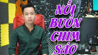 NỖI BUỒN CHIM SÁO | HOÀNG DIỄN BOLERO TIK TOK - ST Huỳnh Ngọc Đông - Đynh Trầm Ca