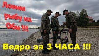 Речная рыбалка. Река Обь радует!!!!! Рыбалка на фидер! ! Fishing on the feeder!