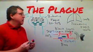 The Bubonic Plague