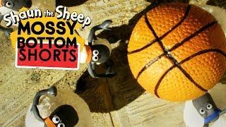 Bóng rổ | Mossy Bottom Shorts | Những Chú Cừu Thông Minh [Shaun the Sheep]