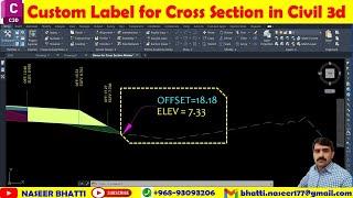 Custom Label for Cross Section in Civil 3d | Custom Offset Elevation Label for Cross Section C3d