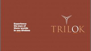 TRILOK MARKETING OFFICE TOUR