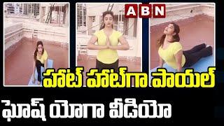 Payal Ghosh Performs Yoga | International Yoga Day | ABN Ent