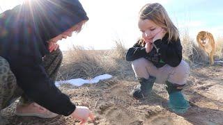 ANiMAL TRACKS   Adley and Niko find mystery paw prints!! Family bike ride & kids magic restaurant