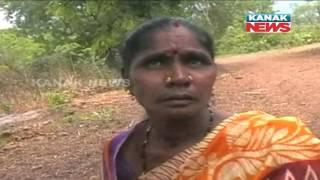 Double Dealing In Widow's Pension Scheme In Kalahandi