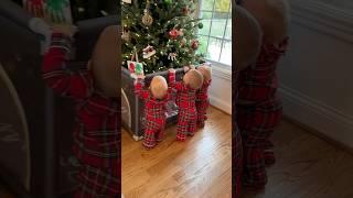 How to protect Christmas Tree from Triplets!  #lifehack #christmas #triplets #mom #cute #twins