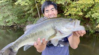 I CAUGHT A MONSTER BASS!!!!! (First Fish in NEW BOAT)