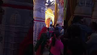 Vrindavan Vlog | Abhi Hub Club #youtubeshorts #shorts #reels