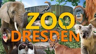 Dresden Zoo | Zoo impression