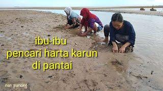 cara mencari kerang di pantai