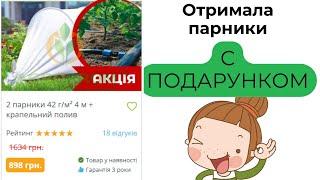 Отримала посилку з парниками + подарунок. Миші на дачі , клейові пастки для гризунів не спрацьовують