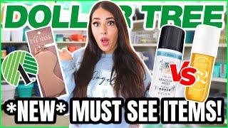 15 *NEW* Items at Dollar Tree you don't want to MISS OUT ON this August 2024