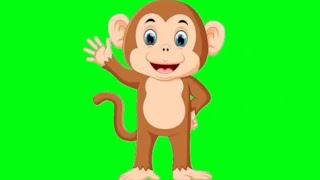 #monkey #green screen #copyright free