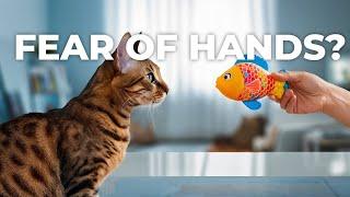 Bengal Cats: A Journey from Fear to Friendship