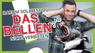 Wie du deinem Hund das BELLEN abgewöhnst [effektiv und einfach]