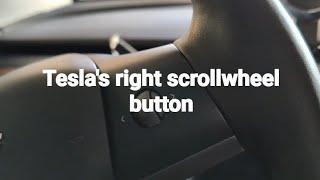 Tesla's Right Scrollwheel button.. All the details