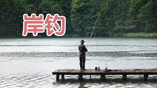 如何岸钓？|钓鱼技巧教学Fishing Tutorial:shore fishing