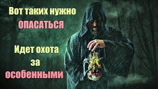 Идет охота за Особенными людьми будьте осторожны. Кто такие Избранные и Особенные. | Сон Разума