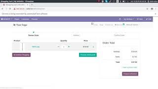 Odoo v12 Automated testing: Puppeteer