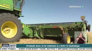 УРОЖАЙ 2022: В РК СОБРАНО 6,1 МЛН ГА ПШЕНИЦЫ