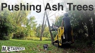 Pushing Ash Trees