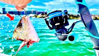 Fishing a PINFISH! CHUNK on These JETTY ROCKS *EPIC Results*