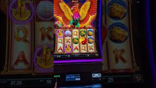 Jinse Dao Phoenix Free Play Win