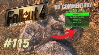 Secret Easter Egg, Unmarked Locations, Museum Of Witchcraft / Fallout 4 Survival 100%